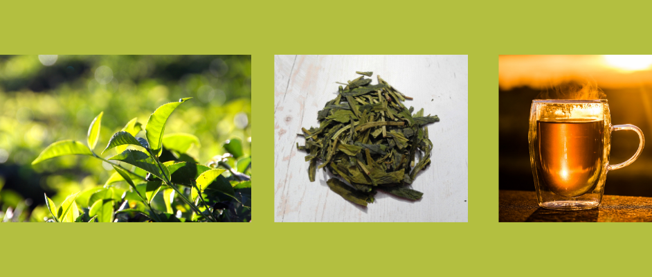 Van theeplant naar theekop, en dat allemaal in je eigen huis - Tasty & Gifts