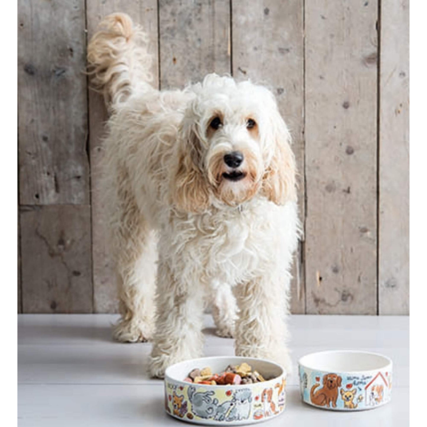 Blond Amsterdam Honden Voerbak Groot met hond