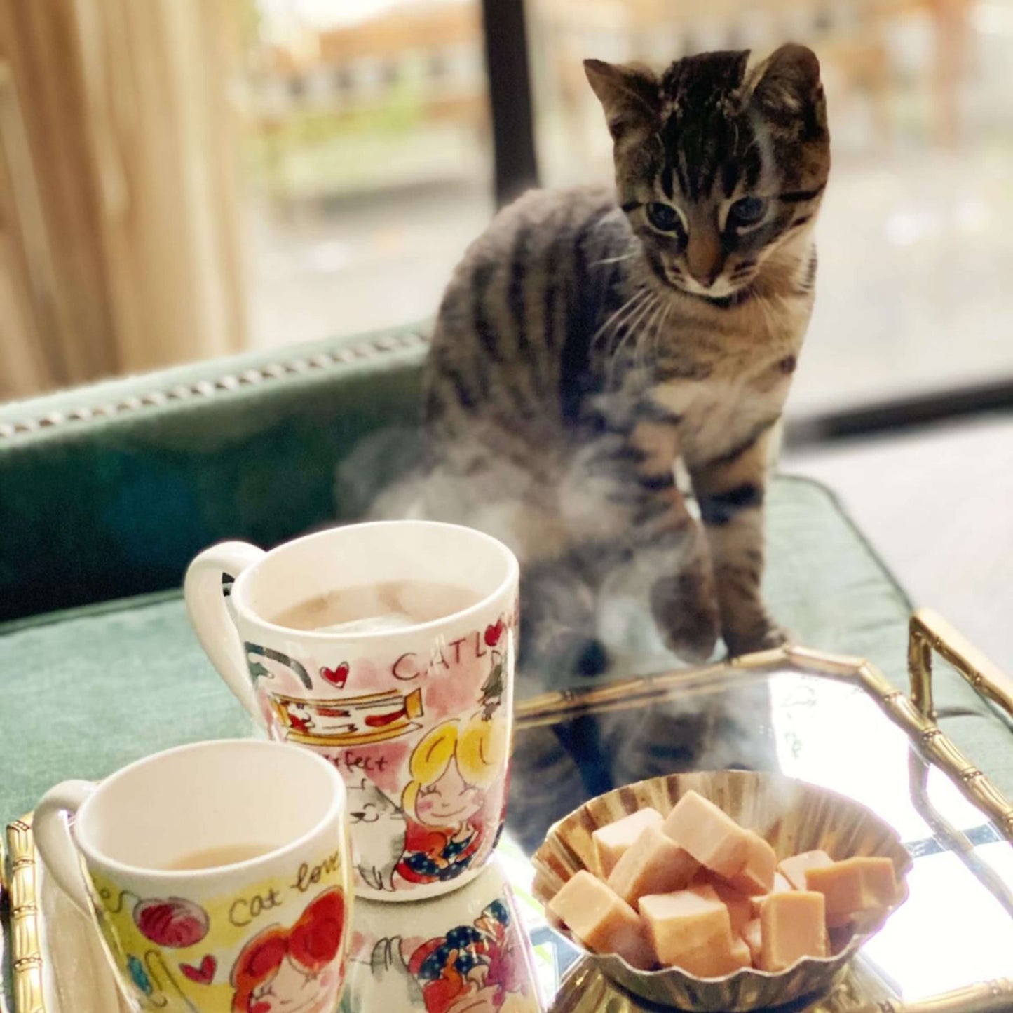 Blond Amsterdam Beker Cat Lover