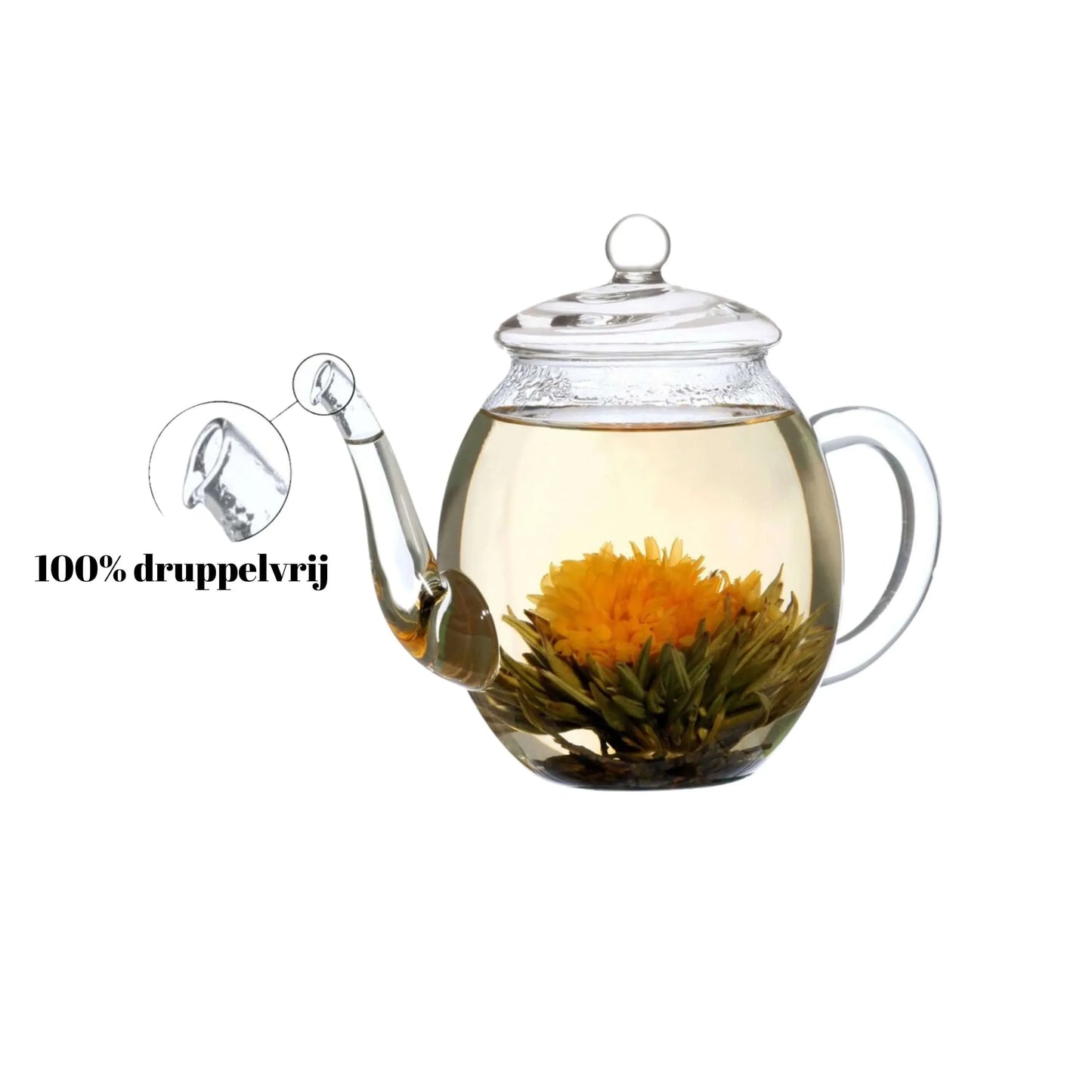 Creano glazen theepot 500 ml met druppelvrije schenktuit