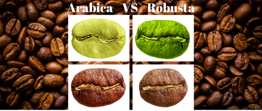 De vijf verschillen tussen Arabica en Robusta koffiebonen - Tasty & Gifts